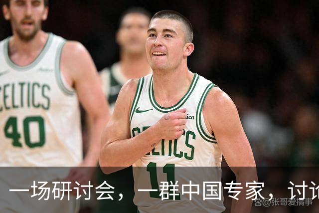 一场研讨会，一群中国专家，讨论的全是中国自己的事，可主办方偏偏定了条死规矩 —— 全程必须说英语