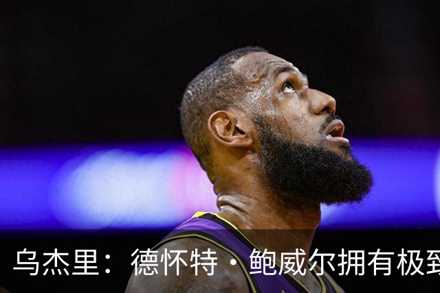 乌杰里：德怀特·鲍威尔拥有极致的专业素养 达拉斯永远是他的家