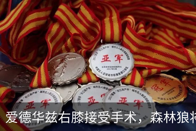 爱德华兹右膝接受手术，森林狼将一次性解决膝伤，预计休战2个月