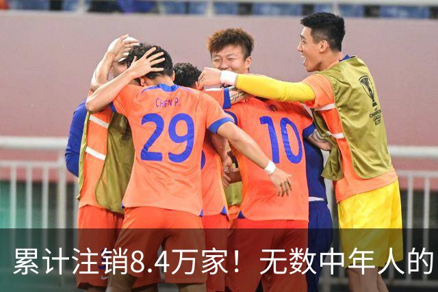 累计注销8.4万家！无数中年人的“庇护所”，如今为何跌下神坛？