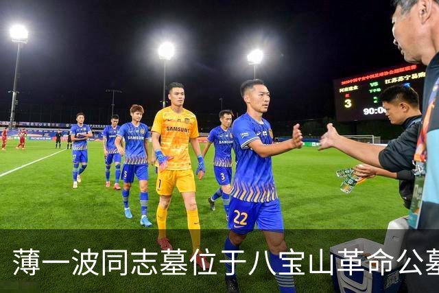 薄一波同志墓位于八宝山革命公墓，墓前常年鲜花簇拥萦绕