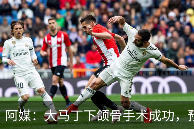 阿媒：大马丁下颌骨手术成功，预计将休战一个半月